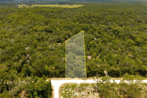 Terrain à vendre à Webster, Floride № 2233836 - photo 4