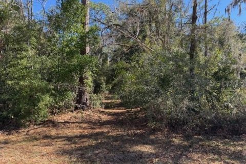 Land in Crystal River, Florida № 2166164 - photo 7