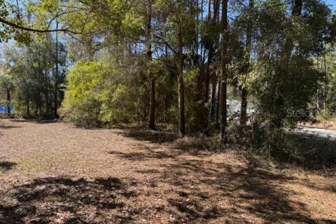 Land in Crystal River, Florida № 2166164 - photo 11