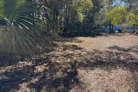 Land in Crystal River, Florida № 2166164 - photo 9