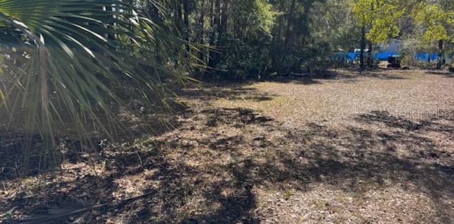 Land in Crystal River, Florida № 2166164