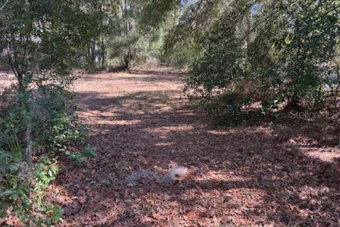 Land in Crystal River, Florida № 2166164 - photo 5
