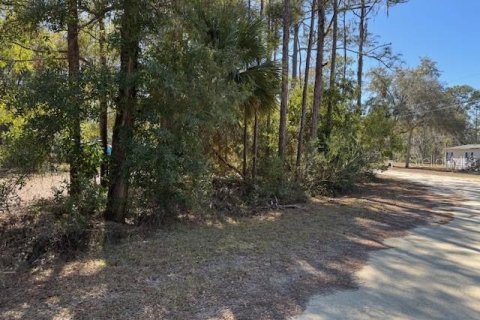 Land in Crystal River, Florida № 2166164 - photo 2