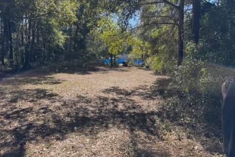 Land in Crystal River, Florida № 2166164 - photo 10