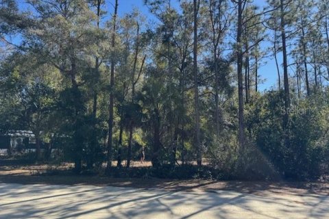 Land in Crystal River, Florida № 2166164 - photo 4