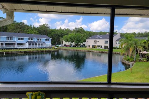Condominio en alquiler en Lutz, Florida, 1 dormitorio, 42.36 m2 № 1744713 - foto 5