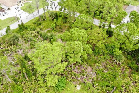 Land in North Port, Florida № 2161678 - photo 9