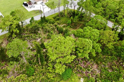 Land in North Port, Florida № 2161678 - photo 10