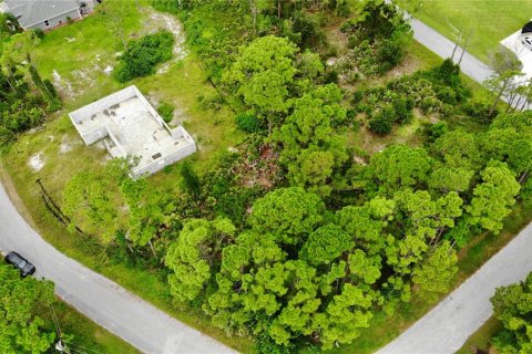Land in North Port, Florida № 2161678 - photo 4