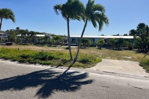 Land in Longboat Key, Florida № 2118171 - photo 12