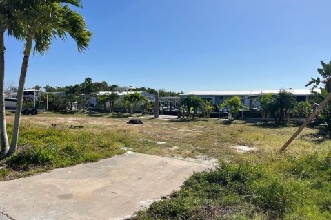 Land in Longboat Key, Florida № 2118171 - photo 7