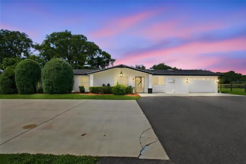 Villa ou maison à vendre à Odessa, Floride: 4 chambres, 272.39 m2 № 2405243 - photo 5