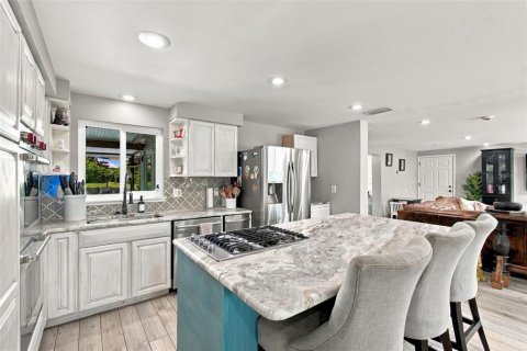 Villa ou maison à vendre à Odessa, Floride: 4 chambres, 272.39 m2 № 2405243 - photo 18