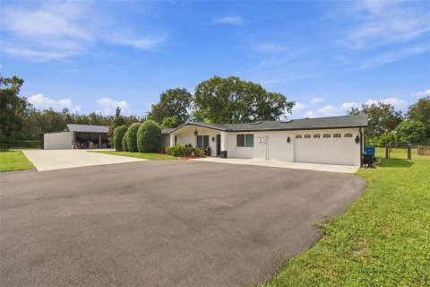 Villa ou maison à vendre à Odessa, Floride: 4 chambres, 272.39 m2 № 2405243 - photo 7