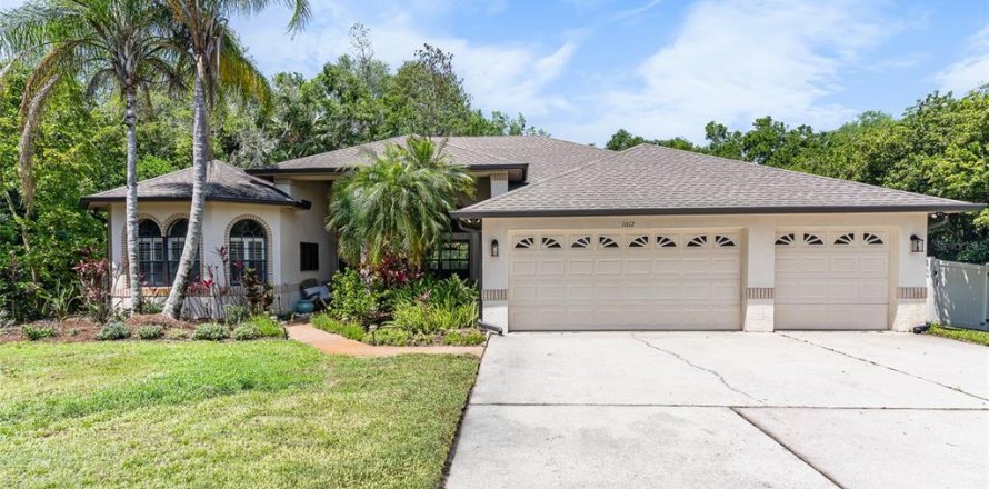 House in Lutz, Florida 4 bedrooms, 274.43 sq.m. № 2117626