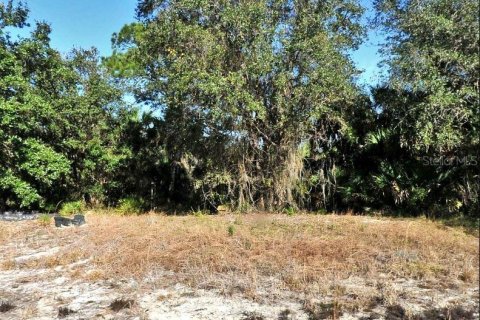 Land in North Port, Florida № 2164892 - photo 2