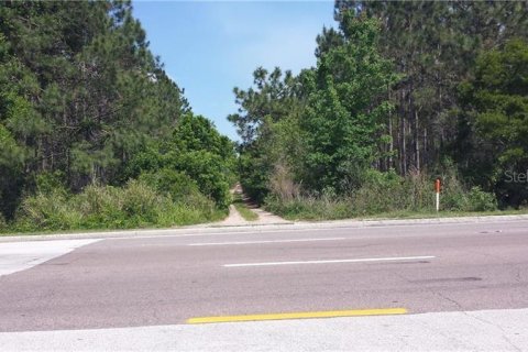 Terreno en venta en Orlando, Florida № 212856 - foto 8