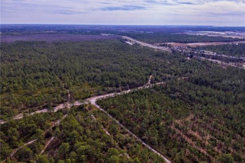 Terreno en venta en Orlando, Florida № 212856 - foto 1