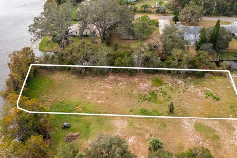 Land in Haines City, Florida № 1422740 - photo 10