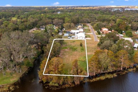 Land in Haines City, Florida № 1422740 - photo 13