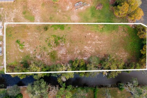 Land in Haines City, Florida № 1422740 - photo 9
