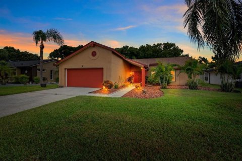 House in New Port Richey, Florida 3 bedrooms, 153.75 sq.m. № 2350178