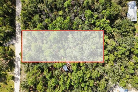 Land in Bell, Florida № 2385859 - photo 28