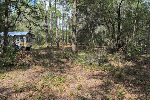 Land in Bell, Florida № 2385859 - photo 17