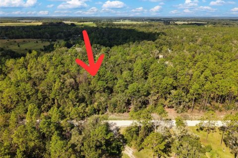 Land in Bell, Florida № 2385859 - photo 27