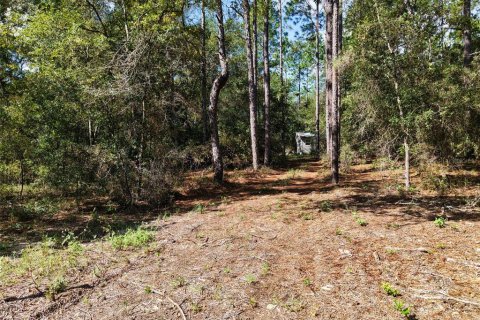 Land in Bell, Florida № 2385859 - photo 8