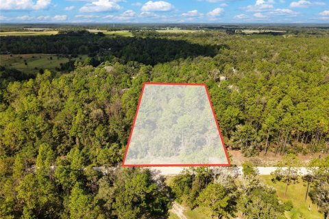 Land in Bell, Florida № 2385859 - photo 2