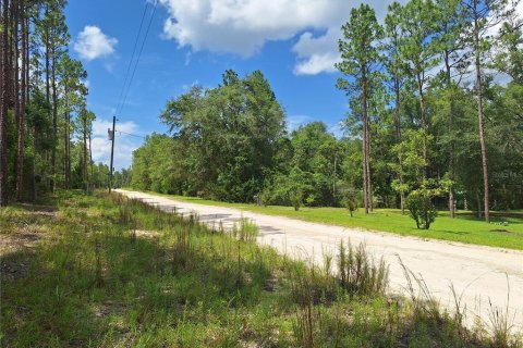 Land in Bell, Florida № 2385859 - photo 13