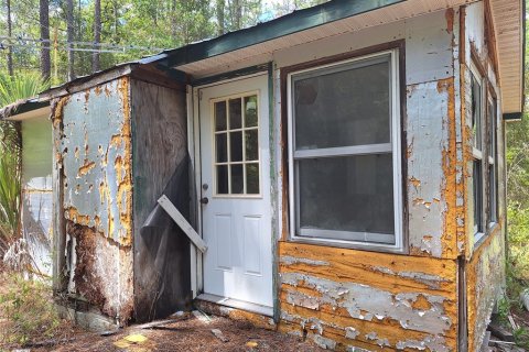 Land in Bell, Florida № 2385859 - photo 11