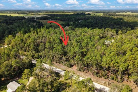 Land in Bell, Florida № 2385859 - photo 26