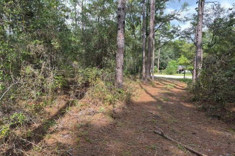 Land in Bell, Florida № 2385859 - photo 24