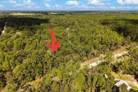 Land in Bell, Florida № 2385859