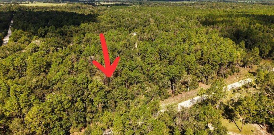 Land in Bell, Florida № 2385859