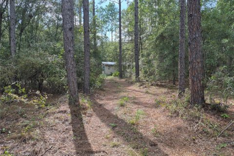 Land in Bell, Florida № 2385859 - photo 25