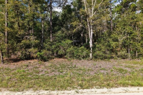 Land in Bell, Florida № 2385859 - photo 6