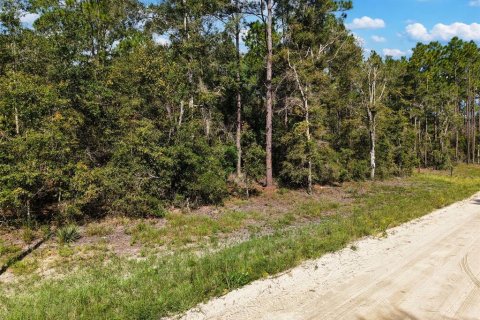 Land in Bell, Florida № 2385859 - photo 7