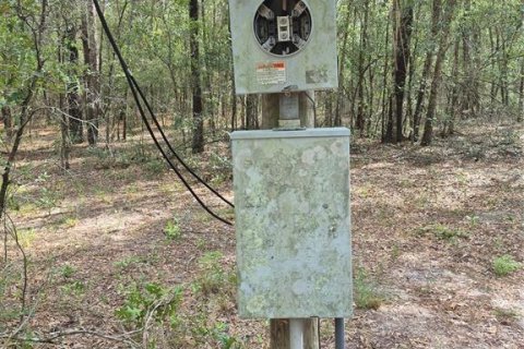 Land in Bell, Florida № 2385859 - photo 22