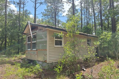 Land in Bell, Florida № 2385859 - photo 10