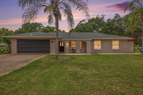 Villa ou maison à Apopka, Floride 4 chambres, 396.51 m2 № 2355026