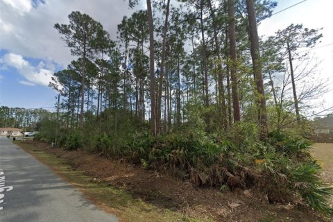 Land in Palm Coast, Florida № 2022051 - photo 2