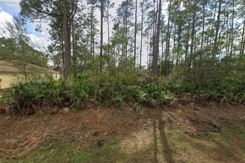 Land in Palm Coast, Florida № 2022051