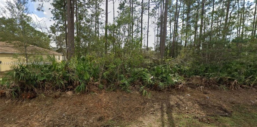 Land in Palm Coast, Florida № 2022051