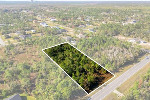Land in Orlando, Florida № 1532187 - photo 5