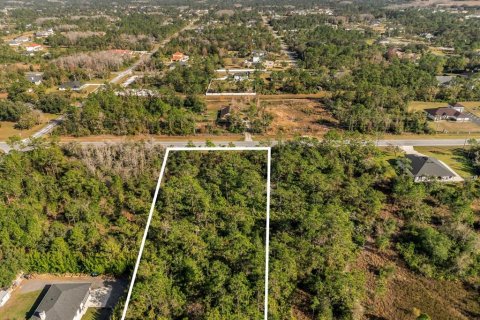 Land in Orlando, Florida № 1532187 - photo 11