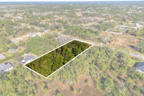 Land in Orlando, Florida № 1532187 - photo 8