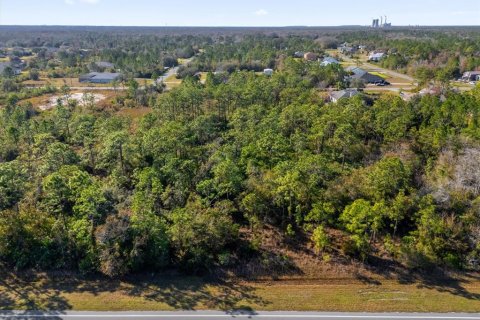 Land in Orlando, Florida № 1532187 - photo 3